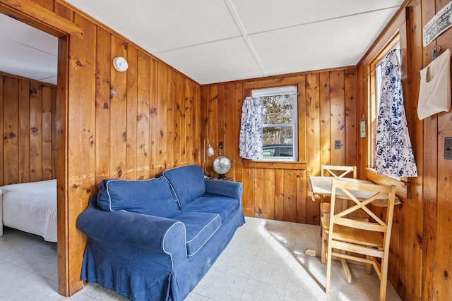 living area with wood walls