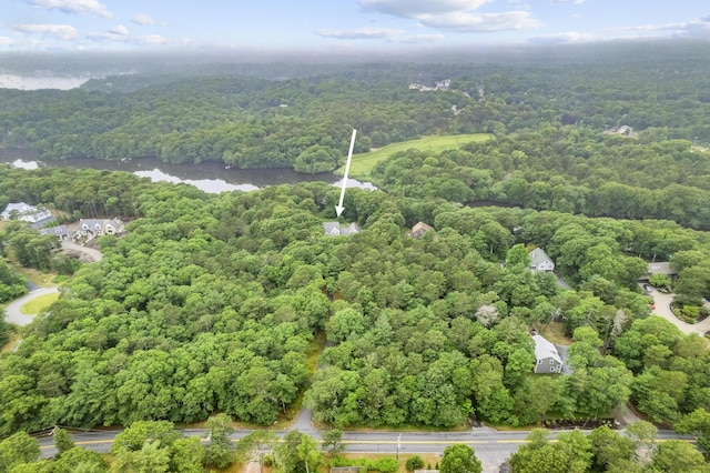 95 Red Brook Rd, Waquoit, MA 02536 - aerial view of a heavily wooded area and a large body of water