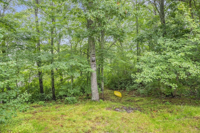 95 Red Brook Rd, Waquoit, MA 02536 - view of tree filled area