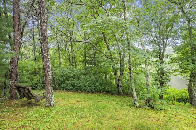 95 Red Brook Rd, Waquoit, MA 02536 - view of grassy yard with a view of trees