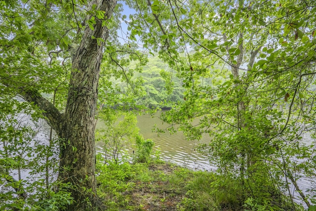 95 Red Brook Rd, Waquoit, MA 02536 - water view