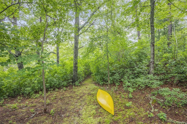 95 Red Brook Rd, Waquoit, MA 02536 - view of yard featuring a forest view