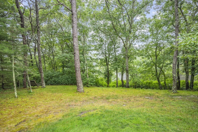 95 Red Brook Rd, Waquoit, MA 02536 - view of yard featuring a forest view