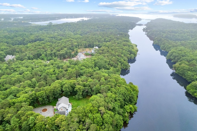 95 Red Brook Rd, Waquoit, MA 02536 - bird's eye view of a forest and a large body of water