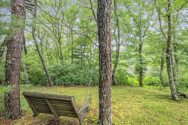 95 Red Brook Rd, Waquoit, MA 02536 - view of yard with a view of trees