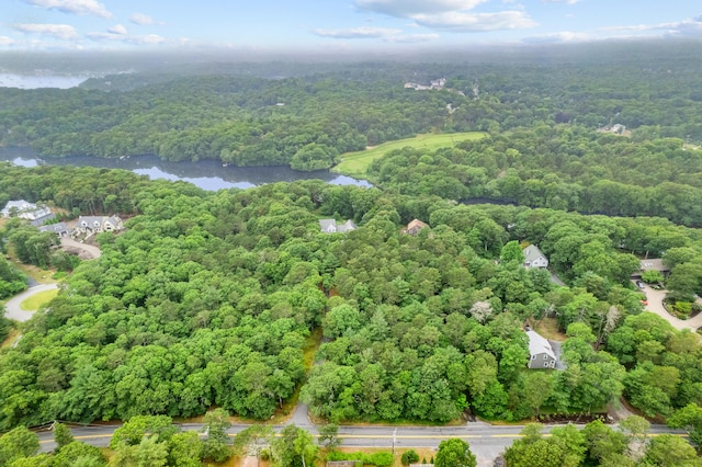 95 Red Brook Rd, Waquoit, MA 02536 - aerial view of a forest and a large body of water