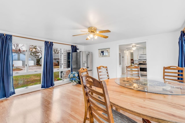dining space featuring ceiling fan and light wood-style flooring