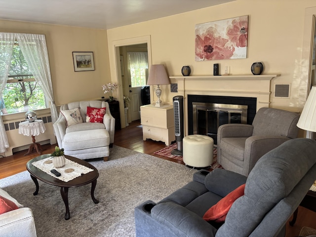 2 Shell Ln, Orleans, MA 02653 - living area featuring radiator, dark wood finished floors, a fireplace with flush hearth, and plenty of natural light