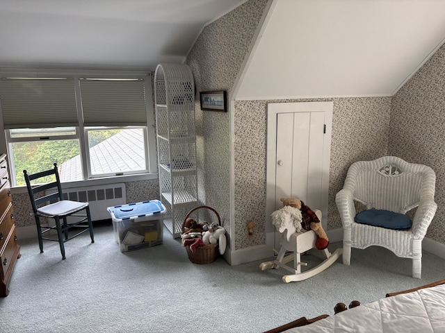 2 Shell Ln, Orleans, MA 02653 - bedroom with lofted ceiling, wallpapered walls, radiator, and carpet flooring