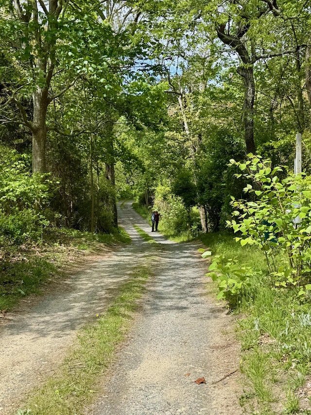31 Monument Rd, Orleans, MA 02653 - photo 4