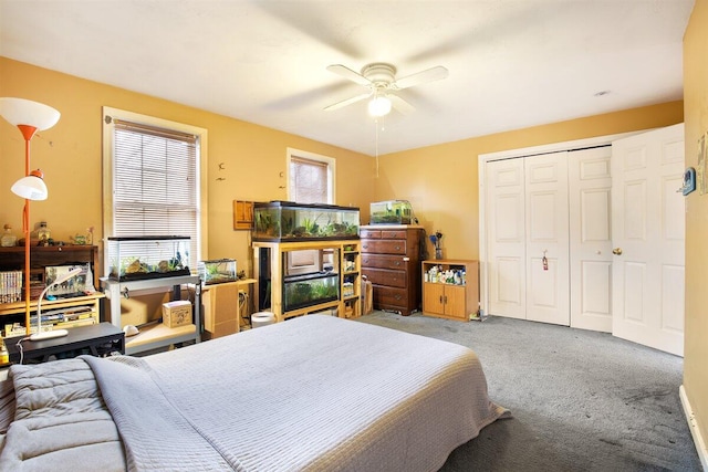 bedroom featuring carpet, a closet, and ceiling fan