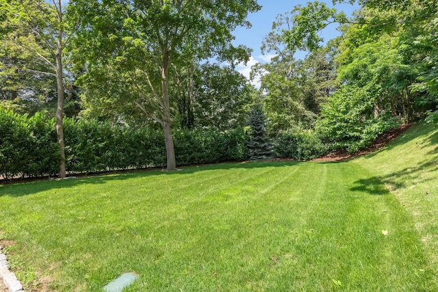 10 Bank St, Wellfleet, MA 02667 - photo 45