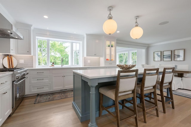 9 Joy Ln, Orleans, MA 02653 - kitchen featuring high end stainless steel range oven, wall chimney exhaust hood, a sink, light countertops, and decorative backsplash