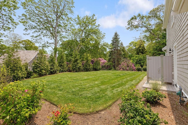 9 Joy Ln, Orleans, MA 02653 - view of green lawn