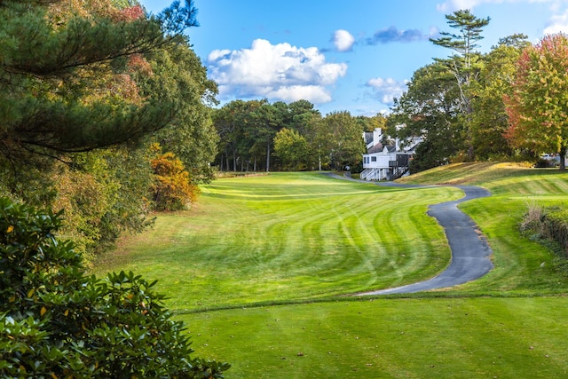 181 Leisure Green Dr, Mashpee, MA 02649 - surrounding community featuring a yard, view of scattered trees, and view of golf course