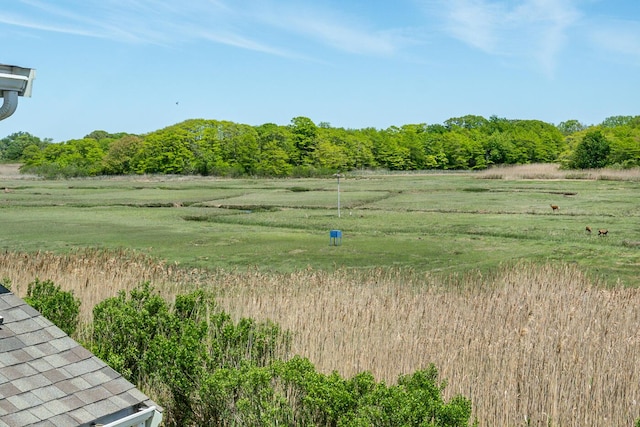 40 Thacher Shore Rd, Yarmouth Port, MA 02675 - view of yard featuring a rural view and a view of trees