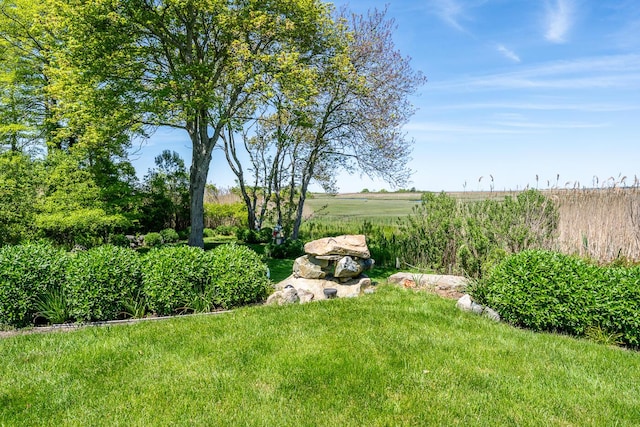 40 Thacher Shore Rd, Yarmouth Port, MA 02675 - view of yard