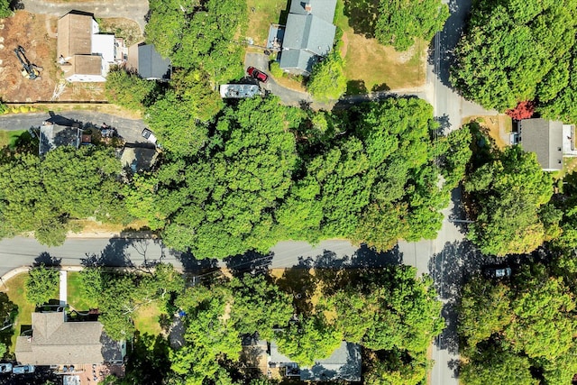 66 Highland St, Mashpee, MA 02649 - photo 8