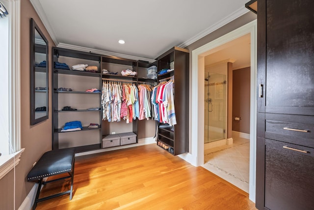 spacious closet featuring wood finished floors