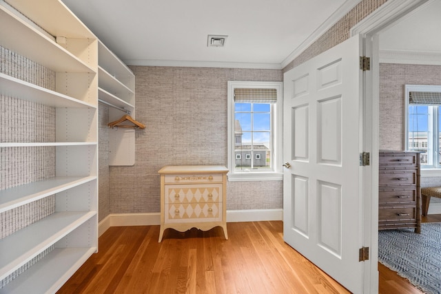 walk in closet with wood finished floors