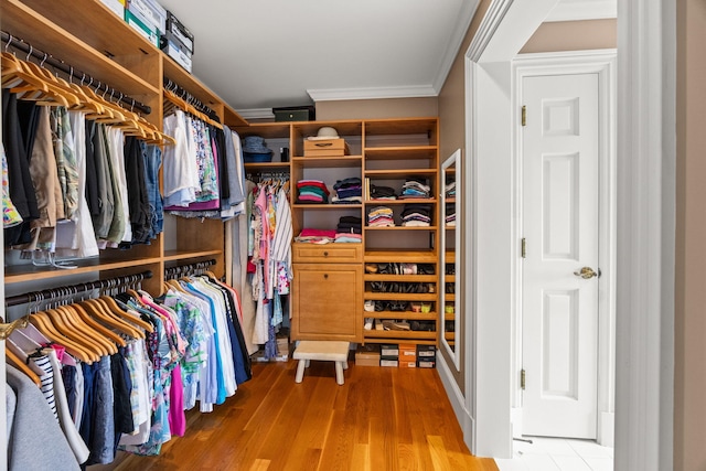 spacious closet featuring wood finished floors