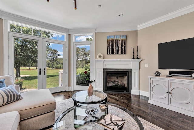 66 Simons Rd Unit A, Mashpee, MA 02649 - living area featuring ornamental molding, french doors, healthy amount of natural light, a glass covered fireplace, and dark wood-style floors