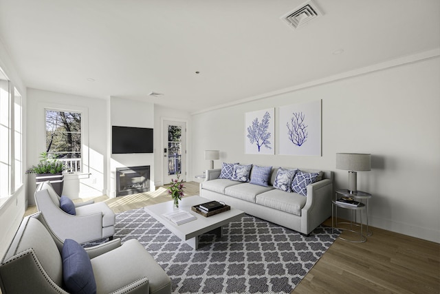 living room featuring dark hardwood / wood-style floors