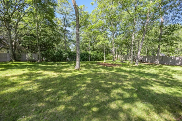 153 Blackthorn Rd, Marstons Mills, MA 02648 - view of yard