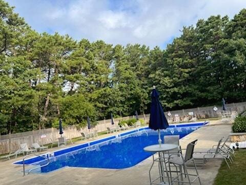 view of swimming pool with a patio