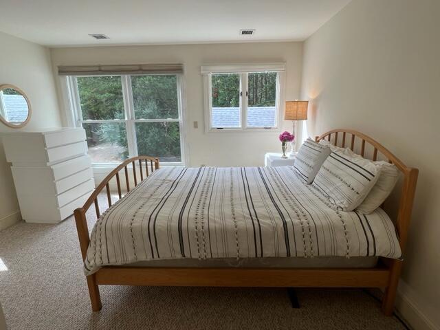 unfurnished bedroom with multiple windows and carpet flooring