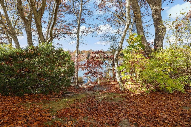 view of nature featuring a water view