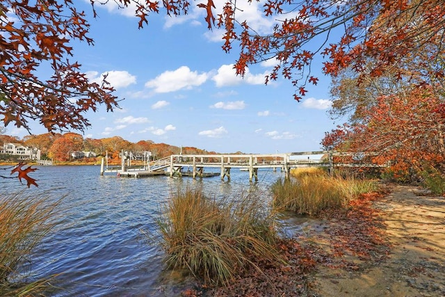 dock area with a water view