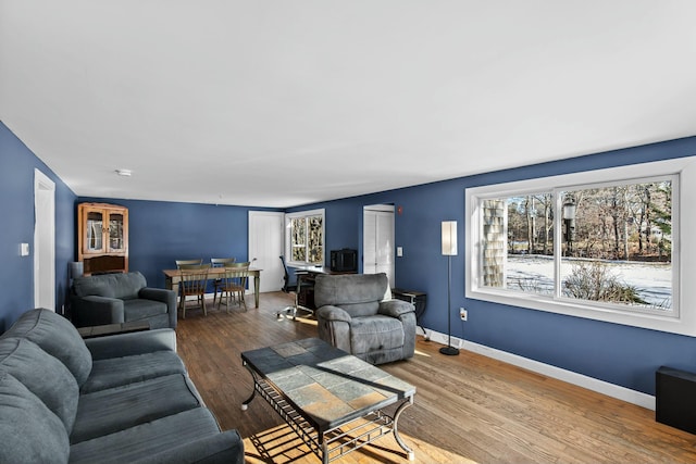 living room featuring wood-type flooring