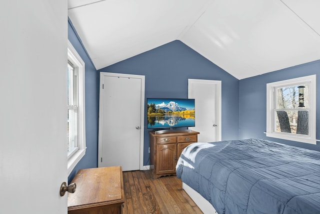 bedroom with dark hardwood / wood-style floors, vaulted ceiling, and multiple windows