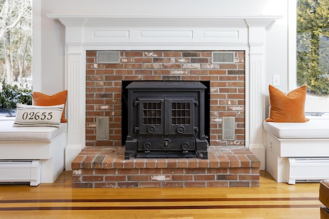 interior details featuring wood-type flooring and a wood stove