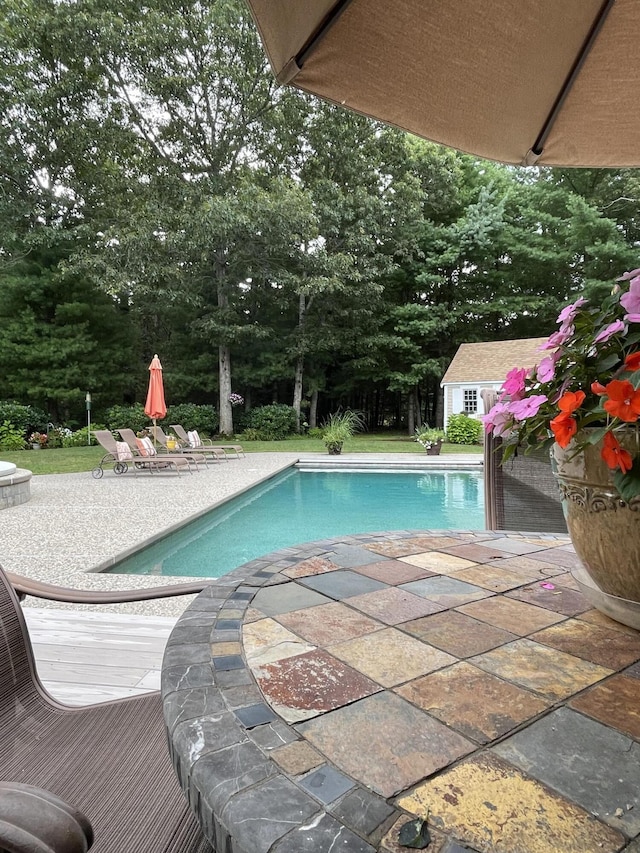 view of swimming pool with an outbuilding and a patio