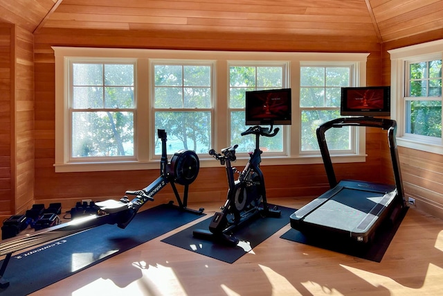 2 Bridge St, East Falmouth, MA 02536 - workout room with lofted ceiling, wooden ceiling, and wood walls