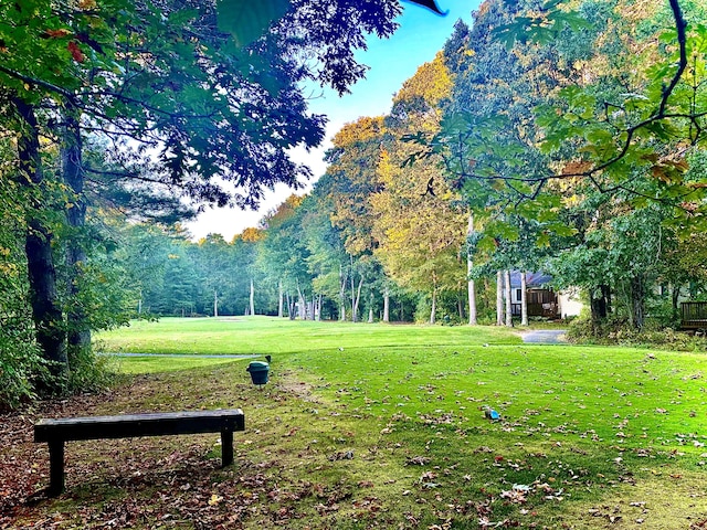 view of property's community featuring a yard