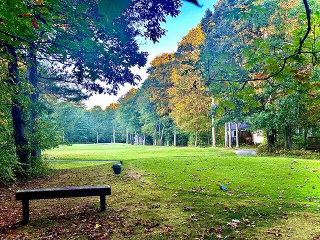 view of home's community featuring a lawn