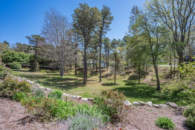 55 Winterset Dr, Chatham, MA 02633 - view of green lawn