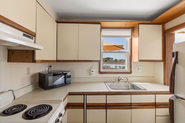 kitchen featuring white appliances, plenty of natural light, a sink, and light countertops