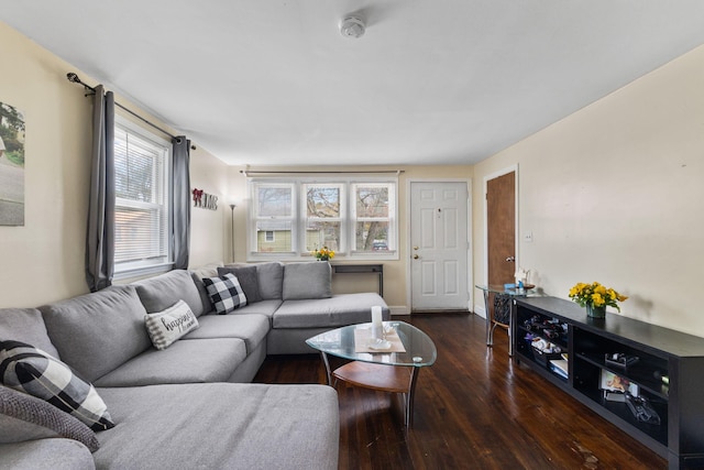 74 Fearing St, Buzzards Bay, MA 02532 - living area featuring hardwood / wood-style flooring and baseboards