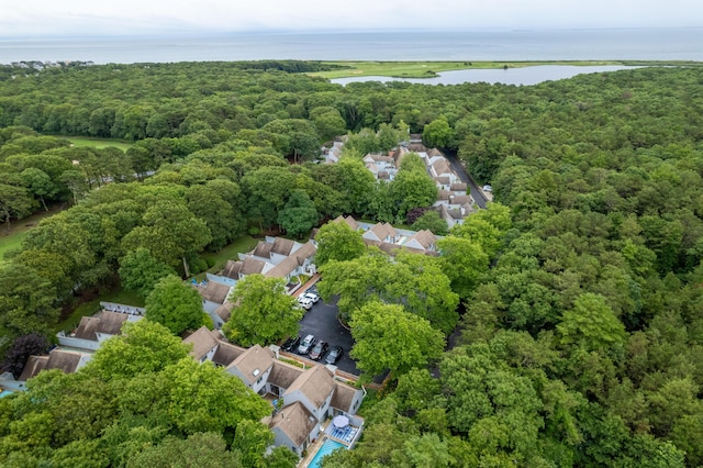 drone / aerial view with a residential view, a water view, and a forest view