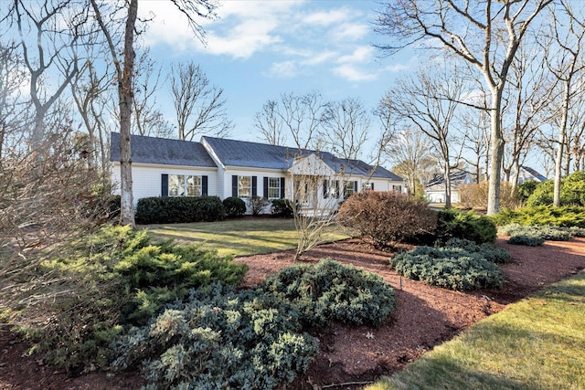 ranch-style house with a front yard