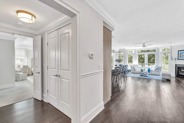 hallway with baseboards, dark wood-type flooring, and crown molding