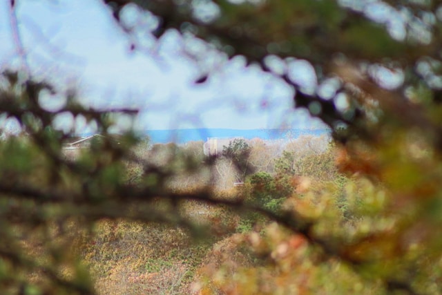 110 Prince Valley Rd, Truro, MA 02666 - view of nature