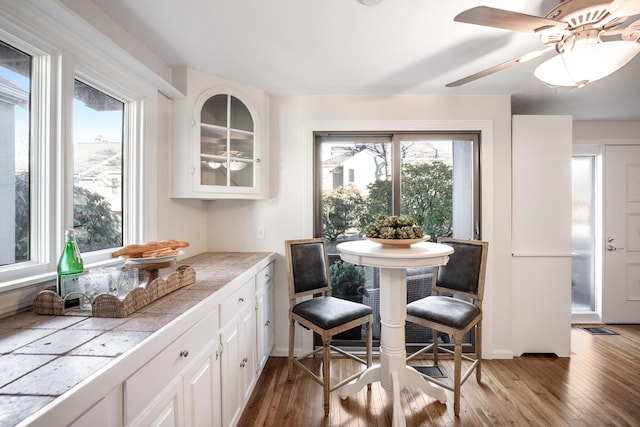 dining room with wood-type flooring, a wealth of natural light, and ceiling fan