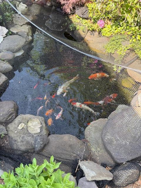 13 Old Colony Way, Provincetown, MA 02657 - detailed view of a garden pond