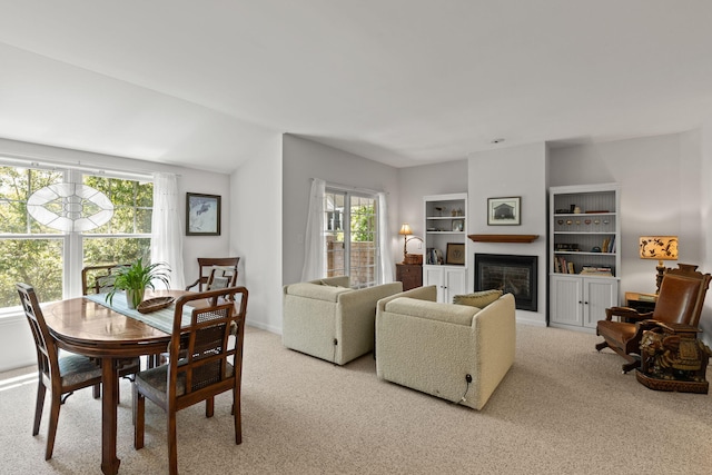 18 W Rd Unit 315, Orleans, MA 02653 - living area with light colored carpet, a glass covered fireplace, and built in shelves