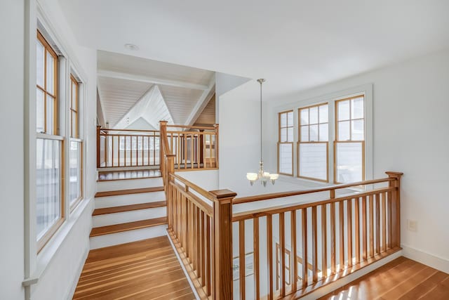 corridor featuring a chandelier, wood finished floors, and baseboards